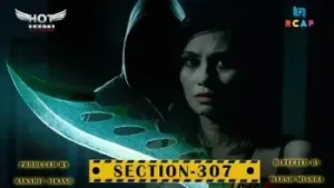 Section 307 HotShots Web Series Poster