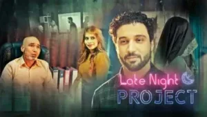 Late Night Project Part 1 Kooku Web Series Poster