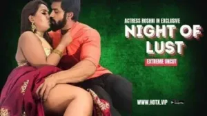 Night of Lust HotX Web Series Poster