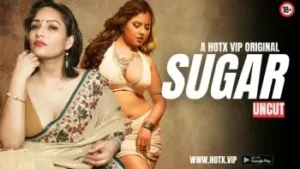 Sugar HotX Web Series Poster